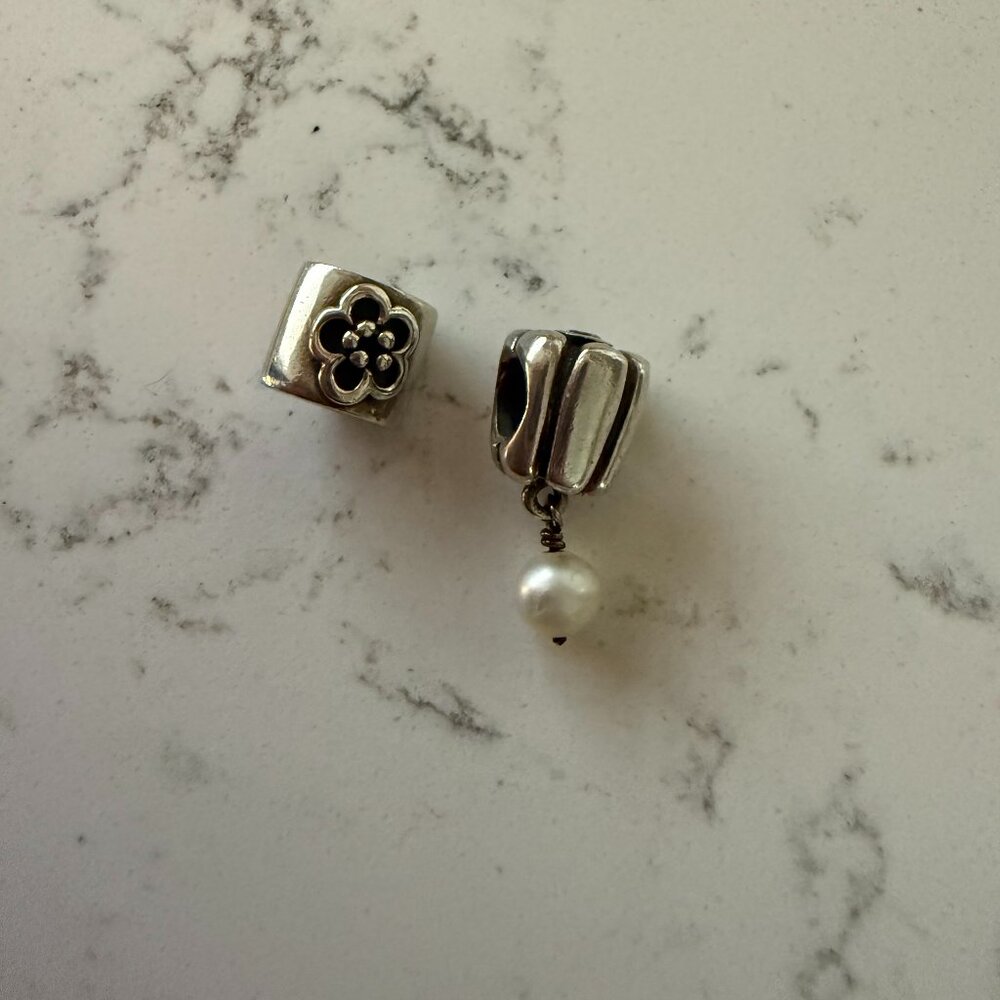 Two Pandora Charms - image 1